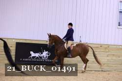 21_BUCK_01491 proof