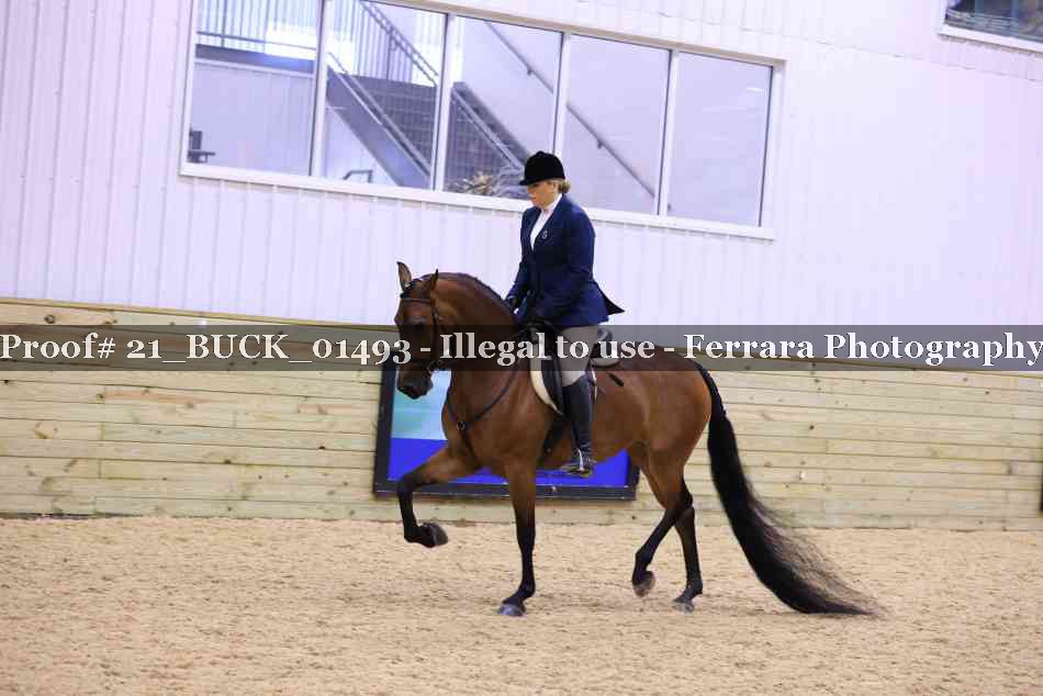 Proof 21_BUCK_01493