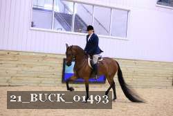 21_BUCK_01493 proof