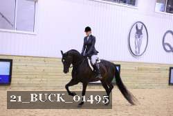 21_BUCK_01495 proof