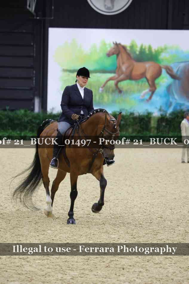 Proof 21_BUCK_01497
