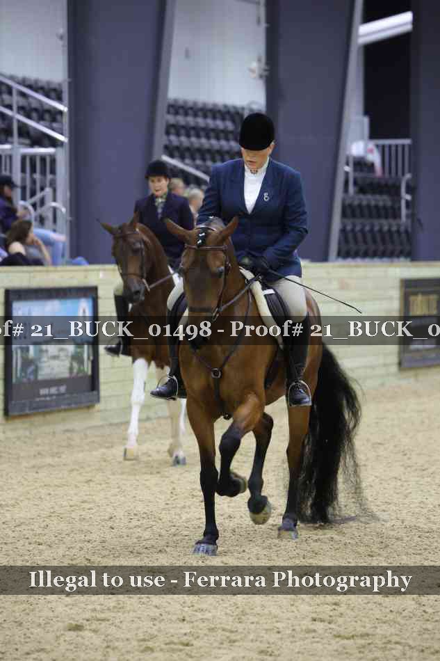 Proof 21_BUCK_01498