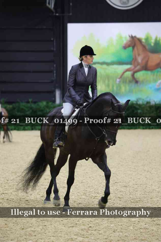 Proof 21_BUCK_01499