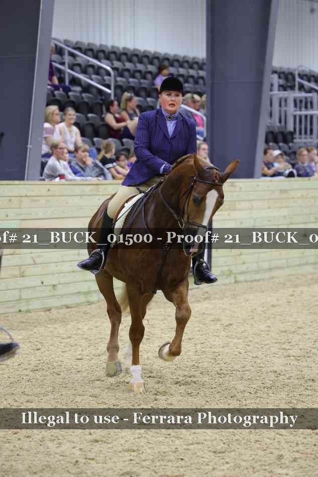 Proof 21_BUCK_01500