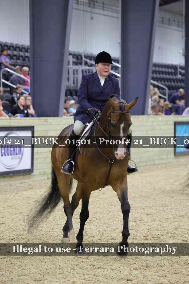 Proof 21_BUCK_01501