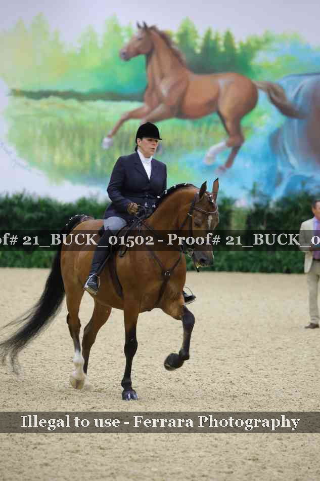 Proof 21_BUCK_01502