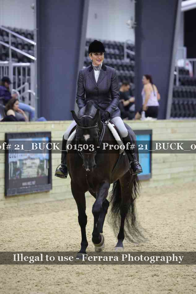 Proof 21_BUCK_01503