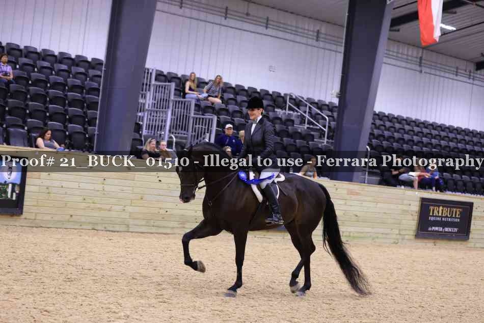 Proof 21_BUCK_01510