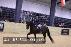 21_BUCK_01510 proof