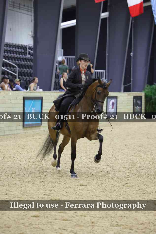 Proof 21_BUCK_01511