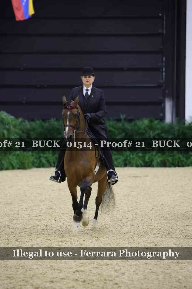 Proof 21_BUCK_01514