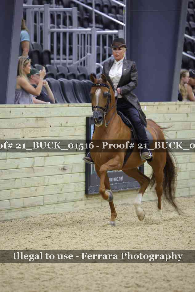 Proof 21_BUCK_01516