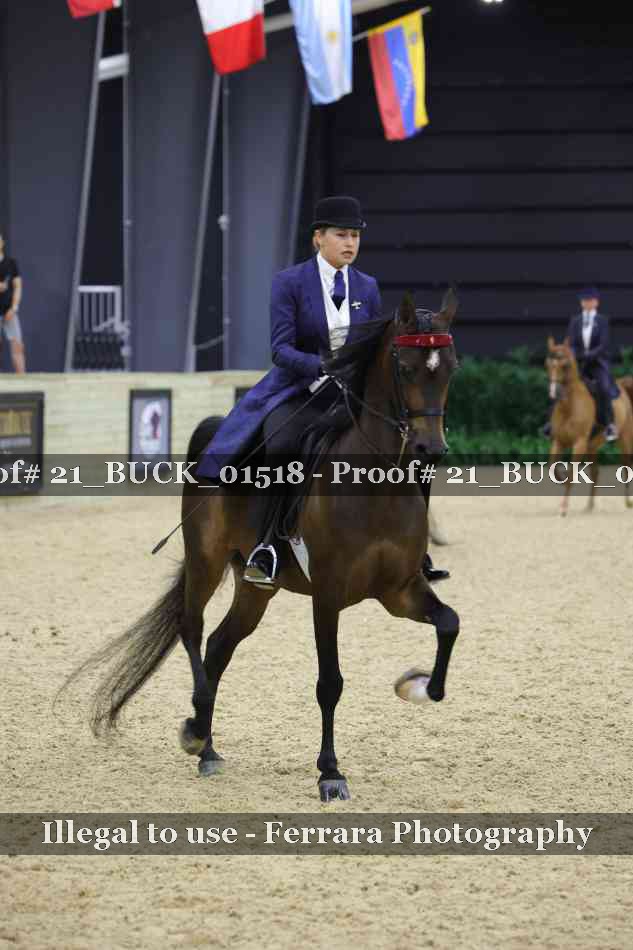 Proof 21_BUCK_01518