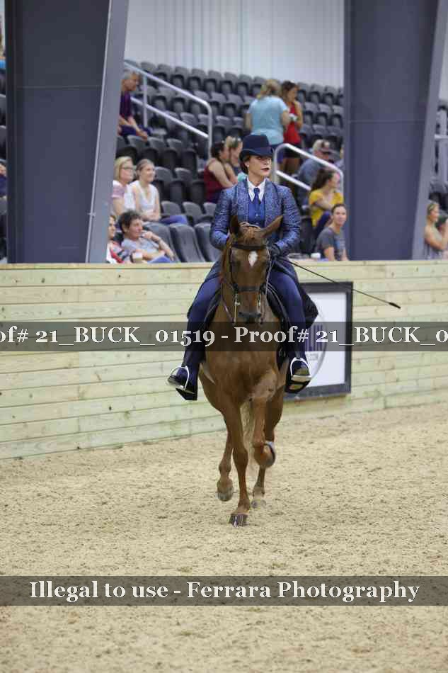 Proof 21_BUCK_01519