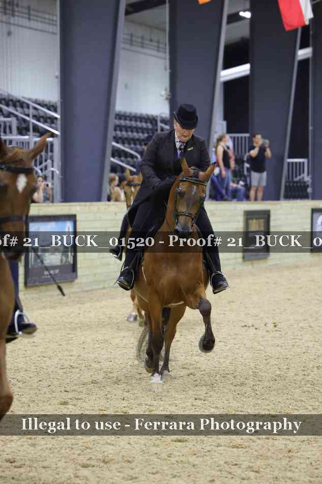 Proof 21_BUCK_01520