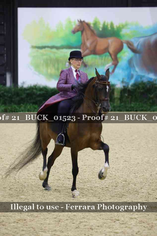 Proof 21_BUCK_01523
