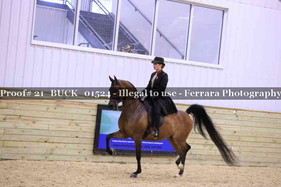 Proof 21_BUCK_01524