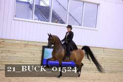 21_BUCK_01524 proof