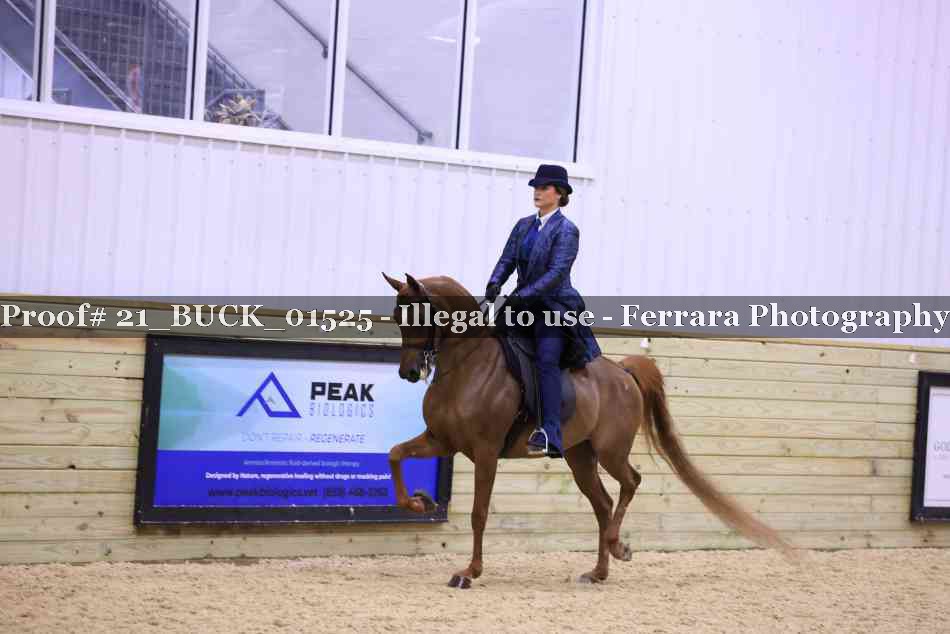 Proof 21_BUCK_01525