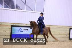 21_BUCK_01525 proof