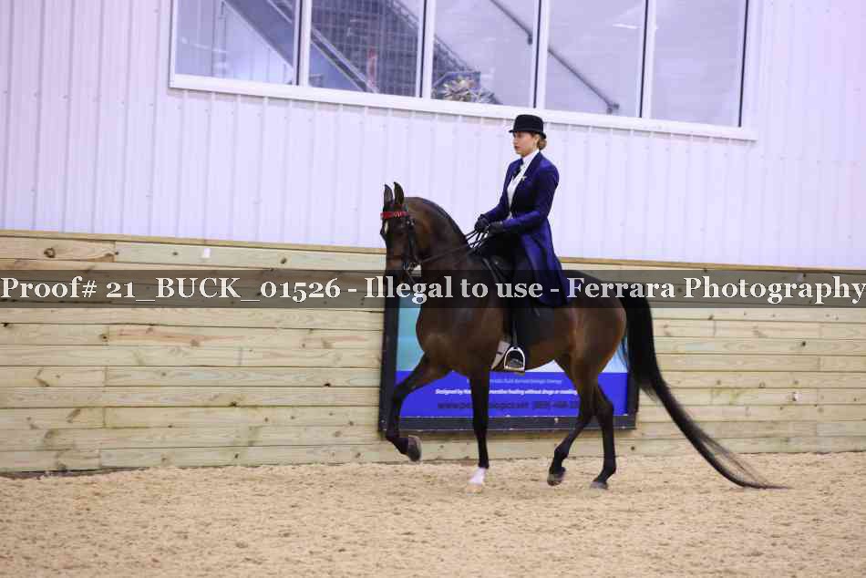 Proof 21_BUCK_01526