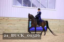 21_BUCK_01526 proof