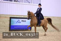 21_BUCK_01527 proof