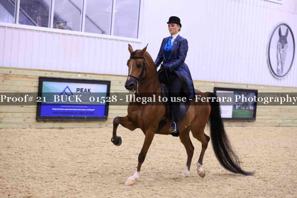 Proof 21_BUCK_01528