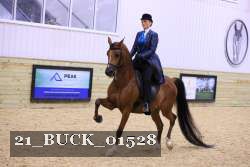 21_BUCK_01528 proof