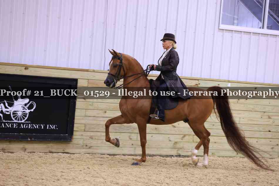 Proof 21_BUCK_01529