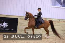 21_BUCK_01529 proof