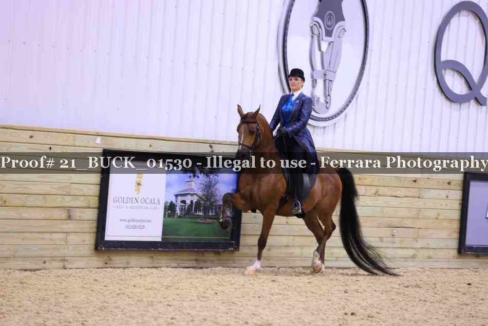 Proof 21_BUCK_01530