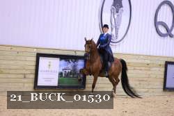 21_BUCK_01530 proof