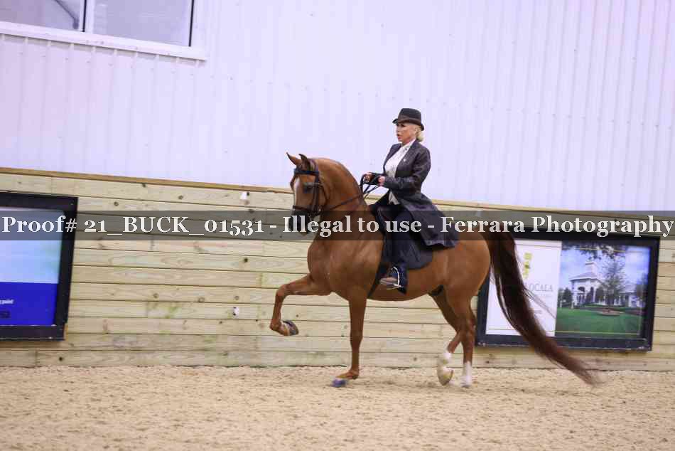 Proof 21_BUCK_01531