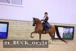 21_BUCK_01531 proof