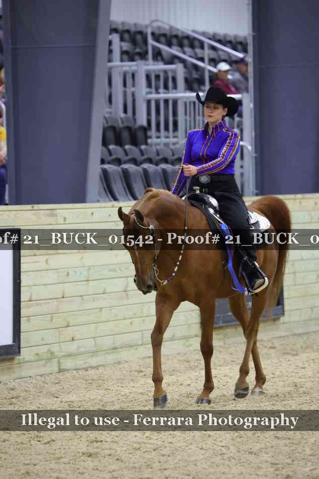 Proof 21_BUCK_01542