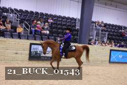 21_BUCK_01543 proof