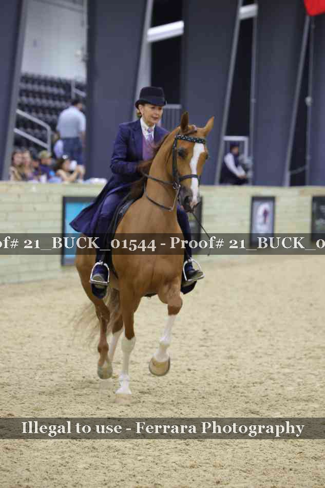 Proof 21_BUCK_01544