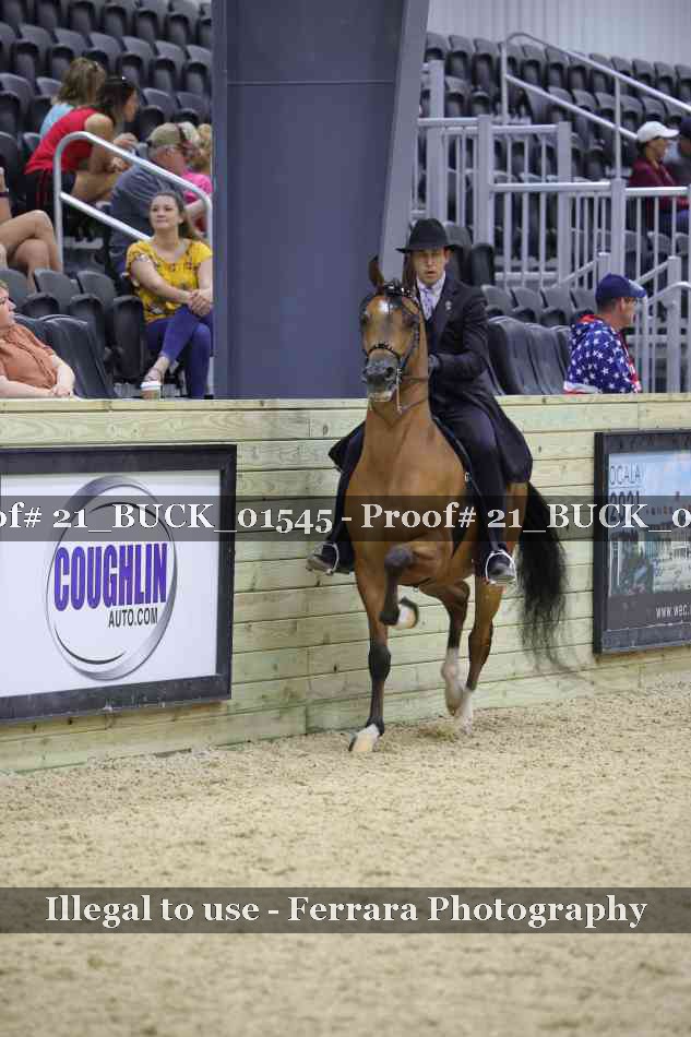 Proof 21_BUCK_01545