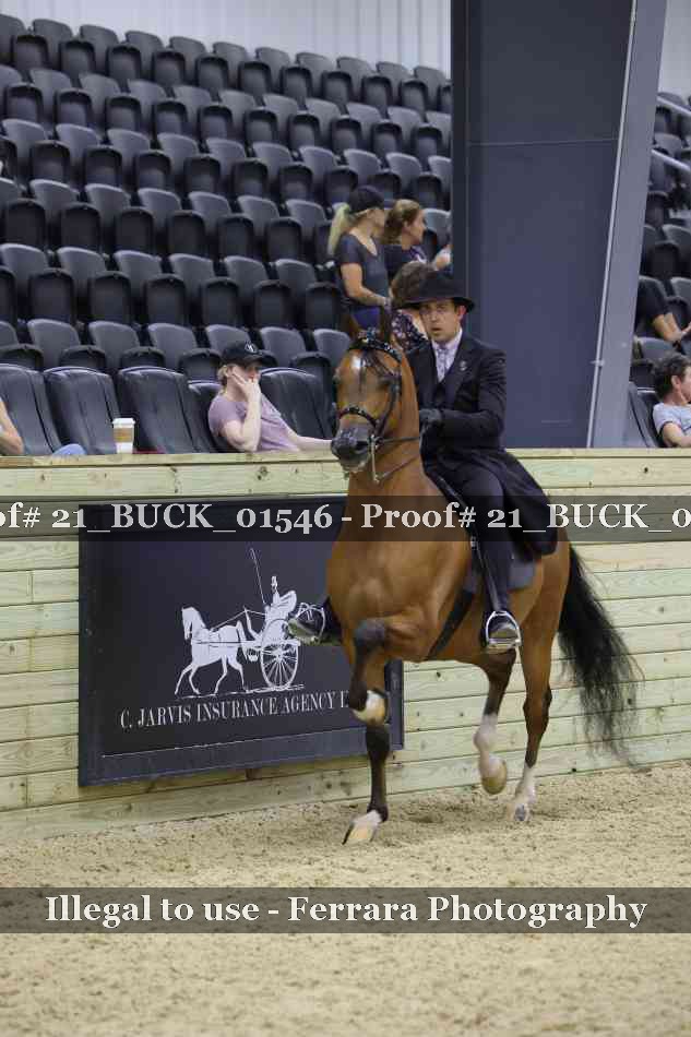 Proof 21_BUCK_01546