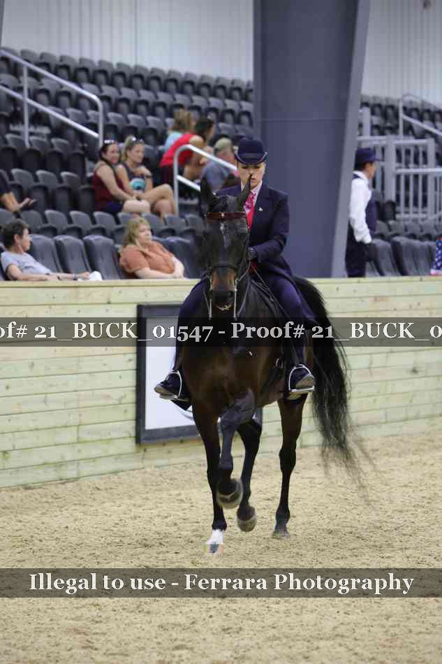 Proof 21_BUCK_01547