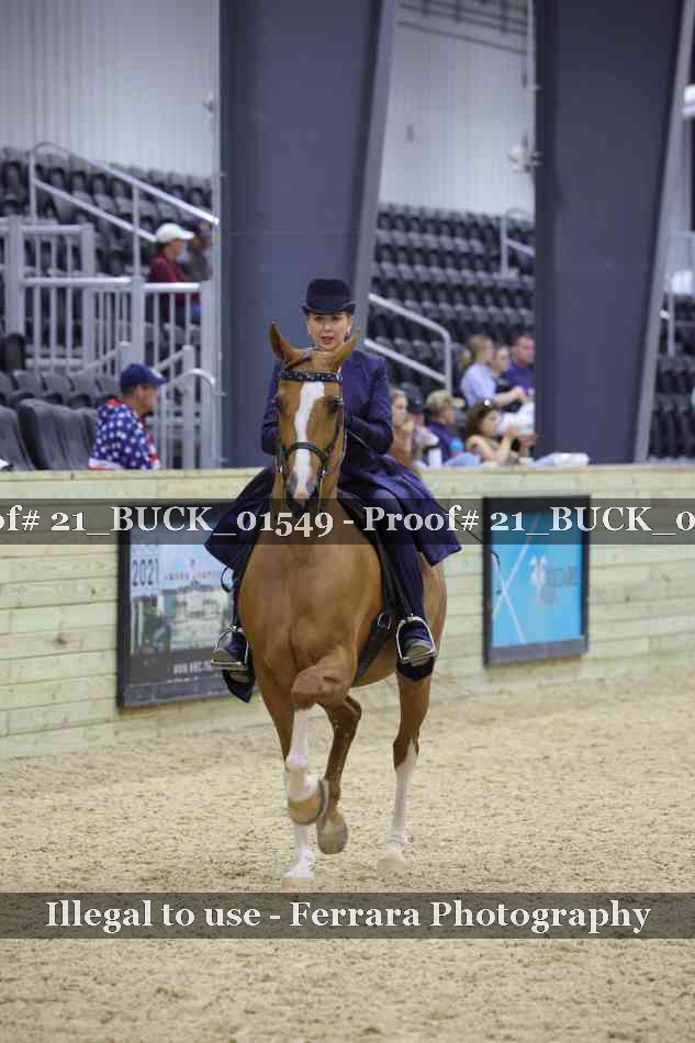 Proof 21_BUCK_01549