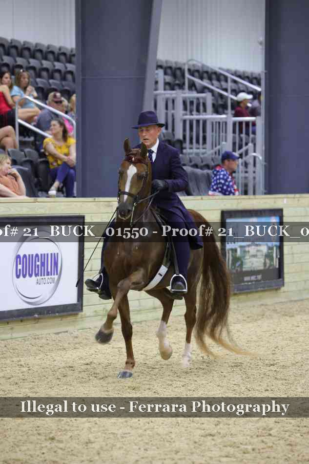 Proof 21_BUCK_01550