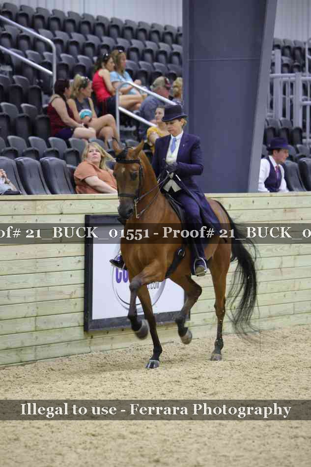 Proof 21_BUCK_01551