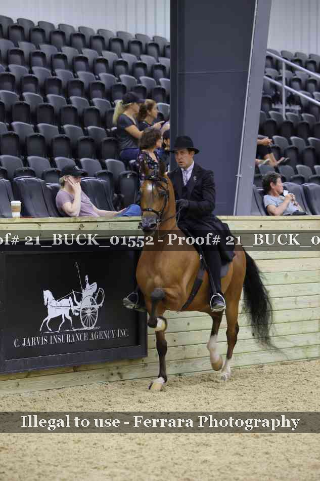 Proof 21_BUCK_01552