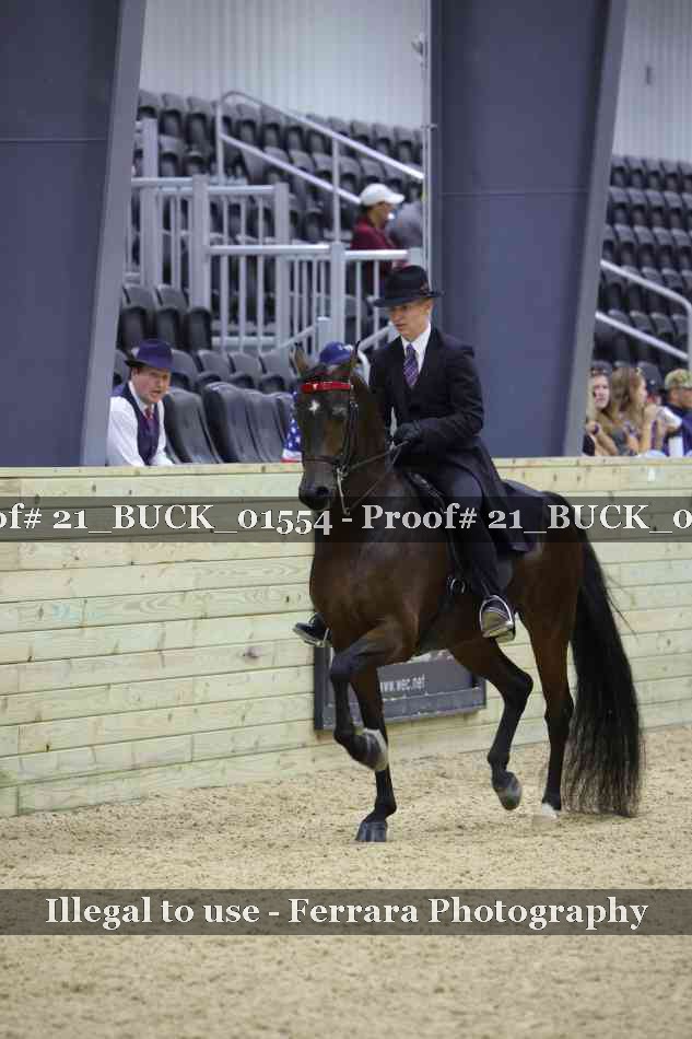 Proof 21_BUCK_01554
