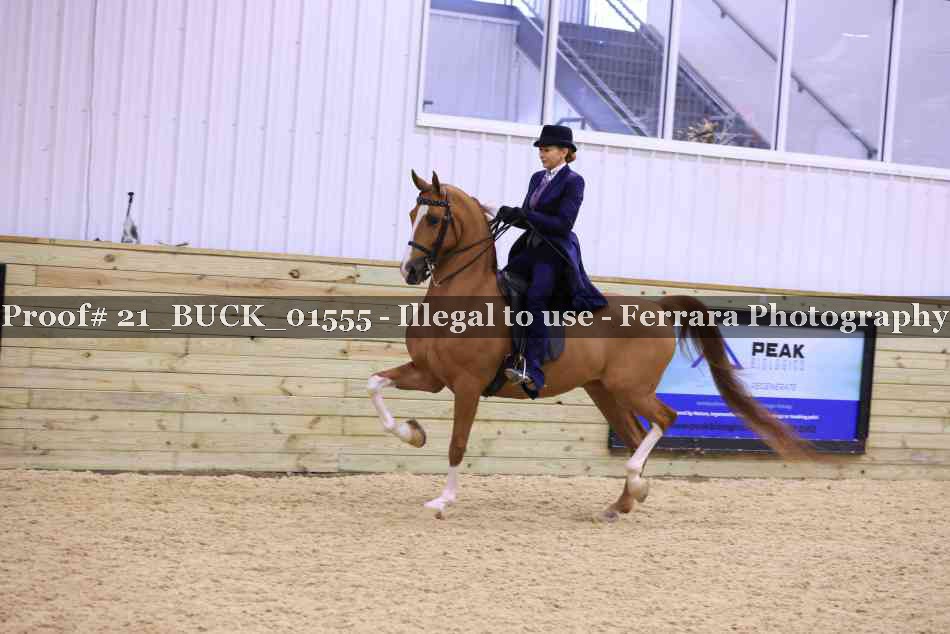 Proof 21_BUCK_01555