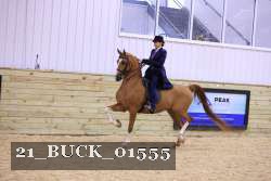 21_BUCK_01555 proof