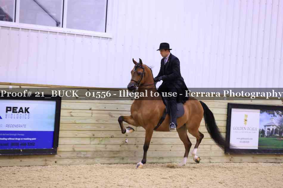 Proof 21_BUCK_01556