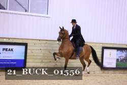 21_BUCK_01556 proof